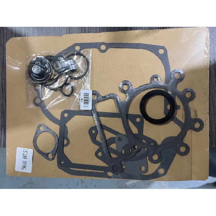 Engine Gasket Kit Replacement for BS lawnmover 796187, Replace 697191 792621 794150 796187