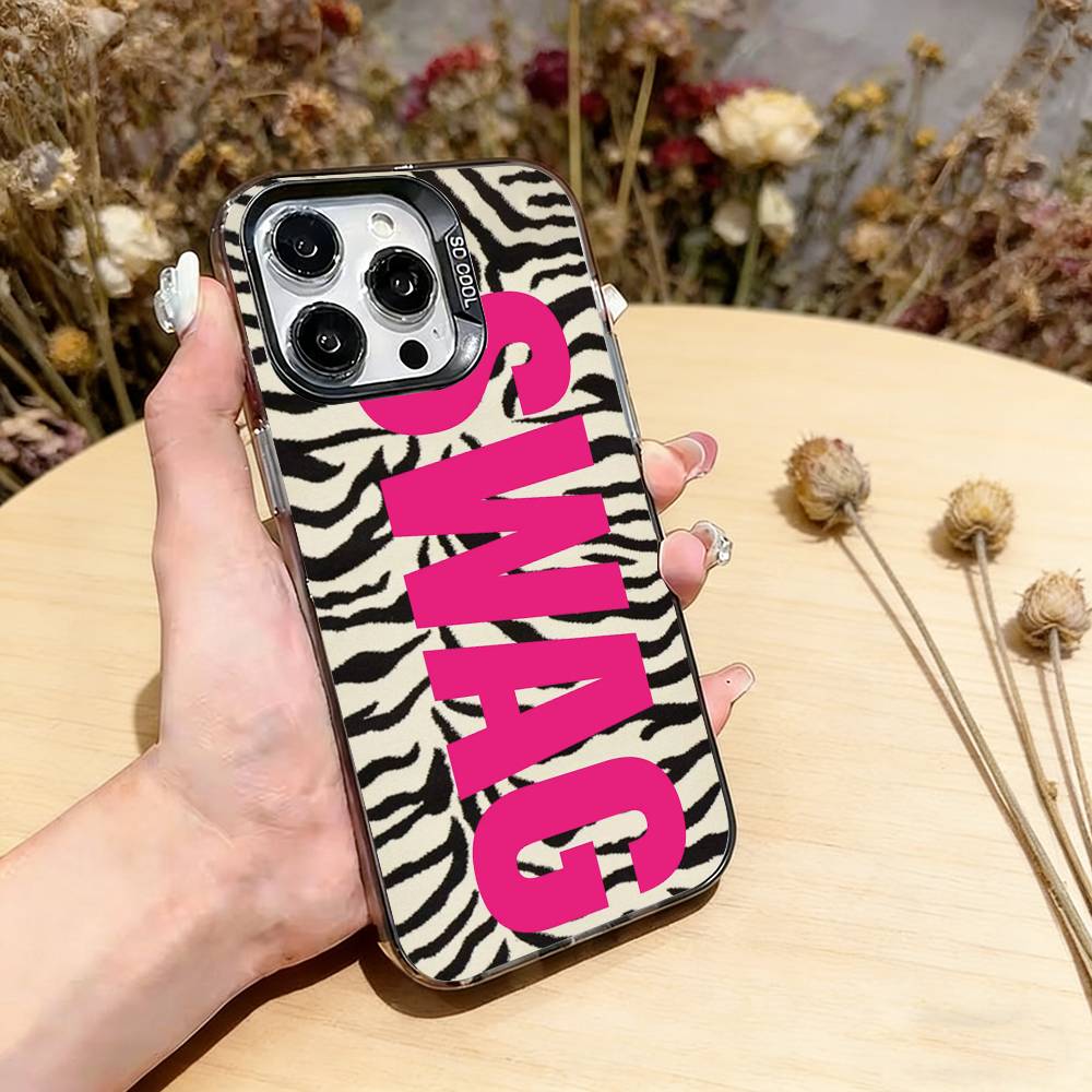 Luxury Y2K Style SWAG Phone Case For iPhone 17,16,15,14,13,12,11 Plus,Pro Max,XS,Colorful Silver Phone case Funda Cover