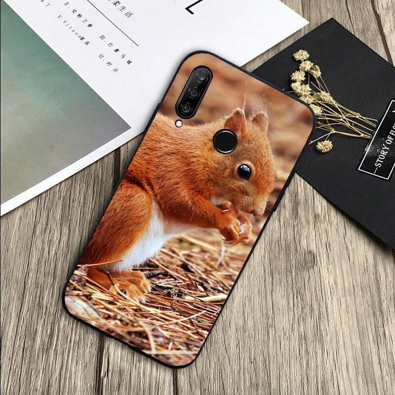 

Squirrel Cute Animals For Huawei Nova 5T 9 10 SE 7i 8i 11i 12i Y73 Y90 Y70 Y72 Y61 Y91 P60 Pro P40 P30 Lite Case Huawei Nova 10