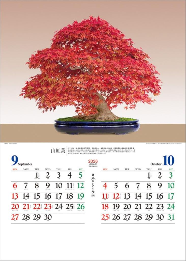 Japanese Spirit 2026 Wall Calendar (Bonsai) TD-721 CL26-1039