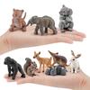 Squirrel Realistic Pvc Animal Figures Collection For Kids Learning And Nature Emulation Play