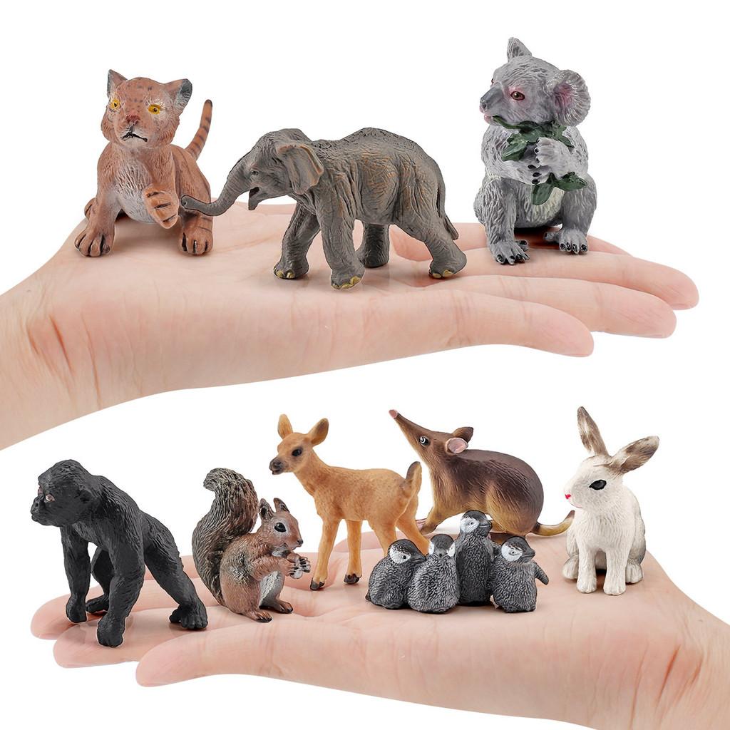 Squirrel Realistic Pvc Animal Figures Collection For Kids Learning And Nature Emulation Play