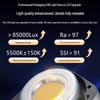 JINBEI LED Photography & Video Constant Light