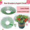 New Strawberry Stand: Home & Balcony Planting, Anti-Rot Tray for Gardening