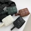 Simple Women Puffy Quilted Padded Makeup Storage Bag Space Cotton Clutches Zipper Solid Color Small Cosmetic Handbag MIT