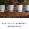 ground Ceramic Planter with Drainage Hole and Mino Size [yamatsu] Saucer, Ware, 3.5 (Medium, Blue-Gray)