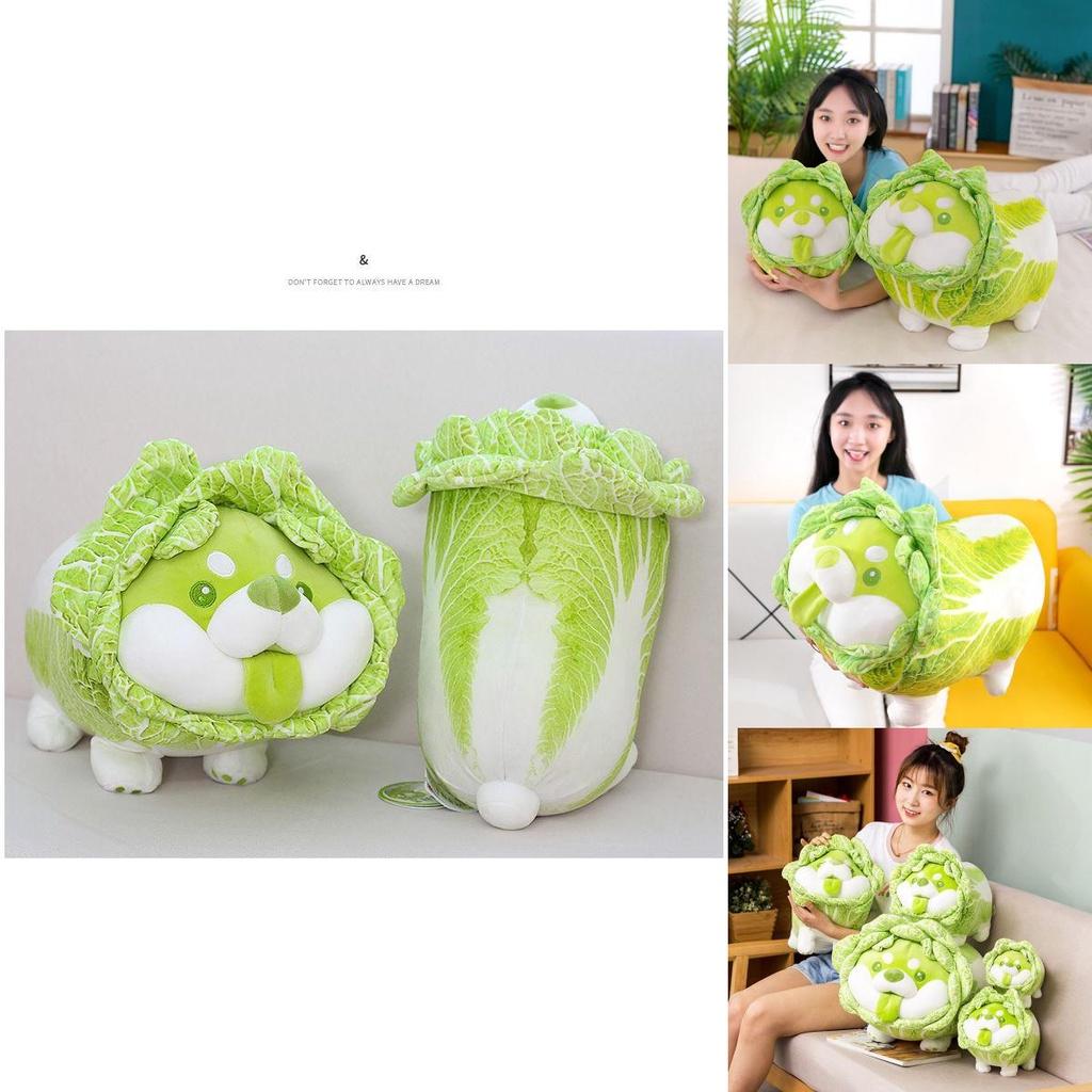 Cabbage Shiba Inu Dog Plush Toy For Kids And Collectors**