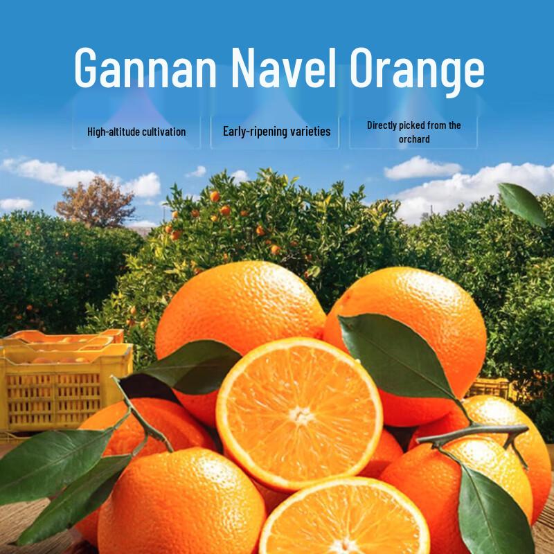 Shengxiangji Ganzhou Navel Oranges