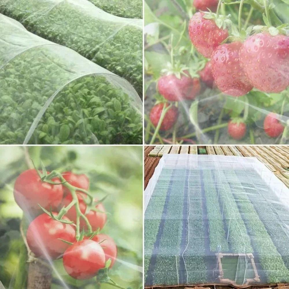 Anti-Bird Plant Insect Protection Net 60 Mesh Bird Barrier Screen Vegetable