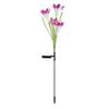 Solar Simulation Lily Flower Outdoor Courtyard Garden Villa Decoration Night Light Home Lawn Floor Lamp
