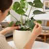 Plants Stem Support Plastic Trellis Easy Installation Vine Plants Trellis  Adjustable Reusable Holder Protective Plant Stabilize
