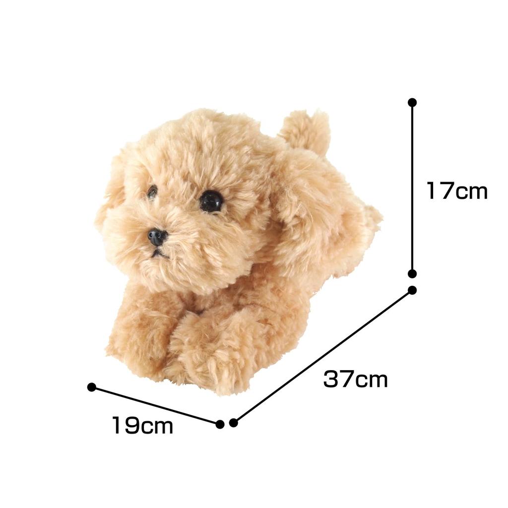Spielzeugpudel Plüsch Größe S Knielang Spielzeug, Beige, (P-3042)