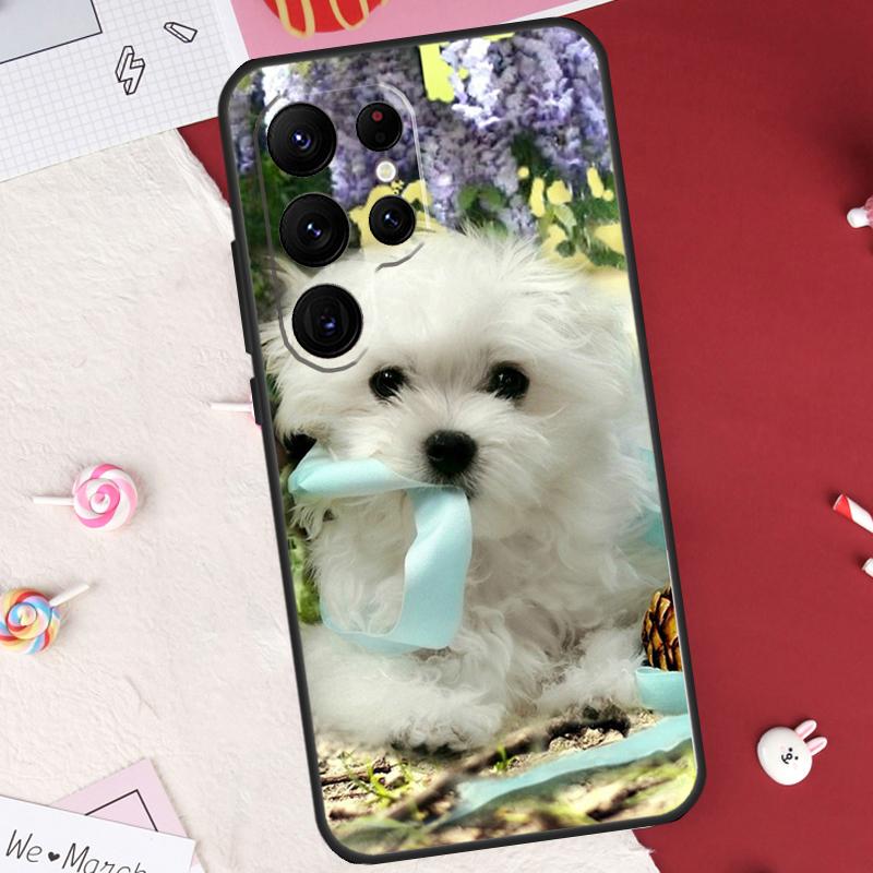 Cartoon Maltese Dog Case For Samsung Galaxy S22 Ultra S20 FE S21 FE S8 S9 S10 Plus Note 10 20 S23 Ultra Cover