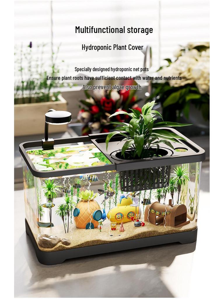 Heiß verkaufendes transparentes Schildkröten- und Goldfisch-Desktop-Aquarium mit Deckel - Haushalts-Wohnzimmer-Aquarium