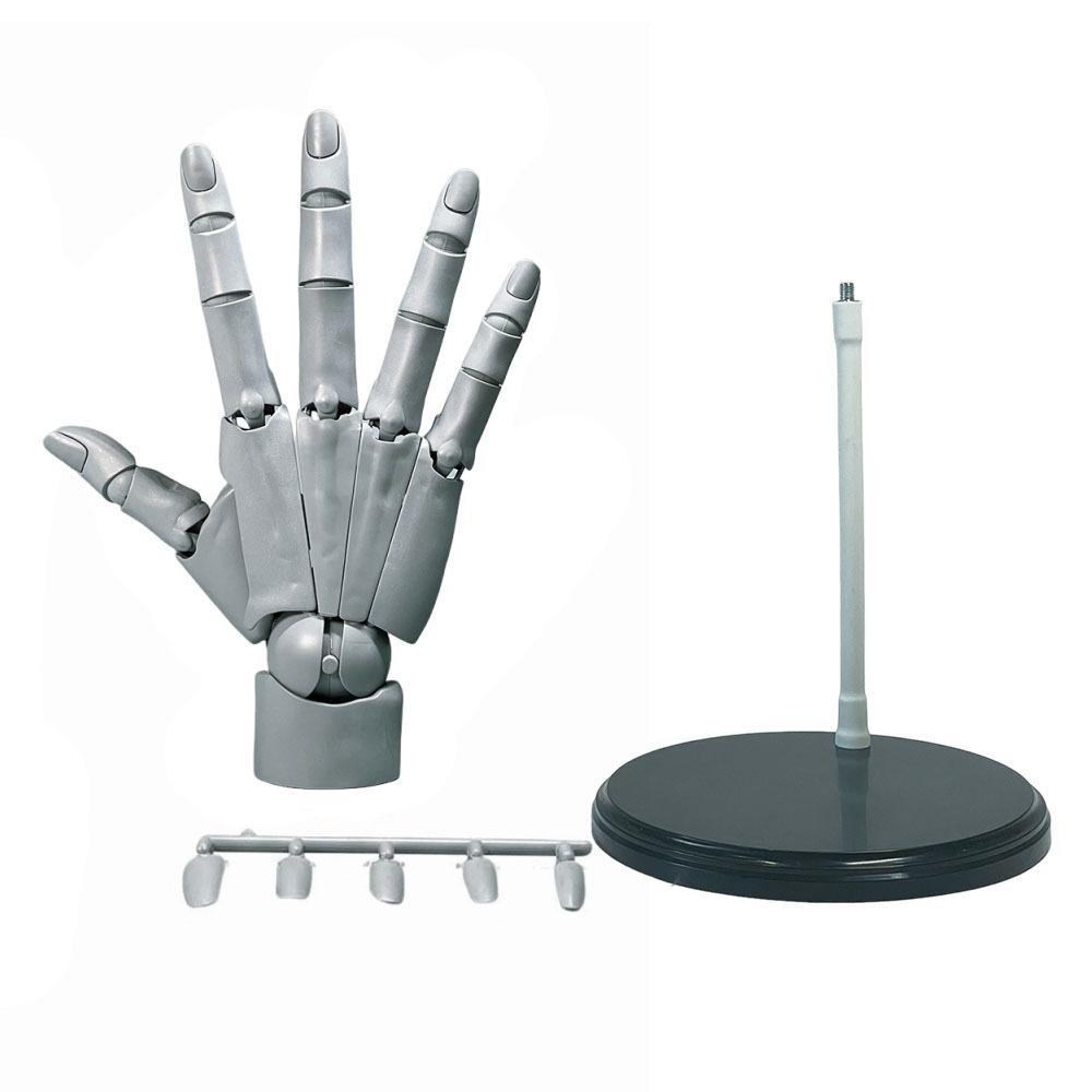 Adjustable Anatomically Accurate Jointed Hand Hand Finger Joint Figurine  Home Decoration Gift Grey Right Hand