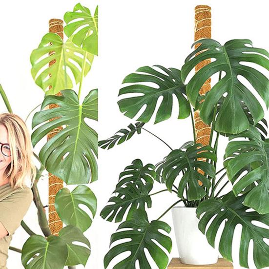 Eco-friendly Handmade Plant Grow Stake Coir Practical Moist-keeping Plant Climbing Stake for Garden