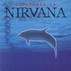 CD РАЗНЫЕ ИСПОЛНИТЕЛИ - A Tribute To Nirvana TR02 Tribute Records 1996 Sweden Rock Б/У