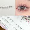 Denivyse - Individual Cluster Lower False Eyelashes