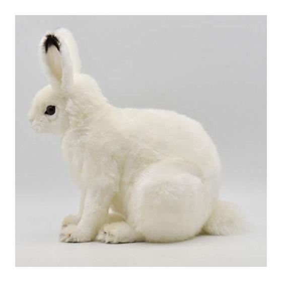BH7851 HANSA Arctic Rabbit 30