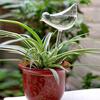 Soil Moisture Regulator Plant Watering Bulb Animal Flower Design Self Globes Planter Hydration System Insert Automatic Device for Indoor Plants