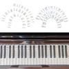 Guida Note Tastiera Pianoforte 61/88 Tasti, Etichette Adesive in Silicone Rimovibili per Principianti, Strisce Note Riutilizzabili per Tastiera Standard a Grandezza Naturale