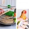 Feeding Medicine Needle Tube Baby Bird Feeder Parrot Feeding Syringe Bird Supplies Breast Feeding