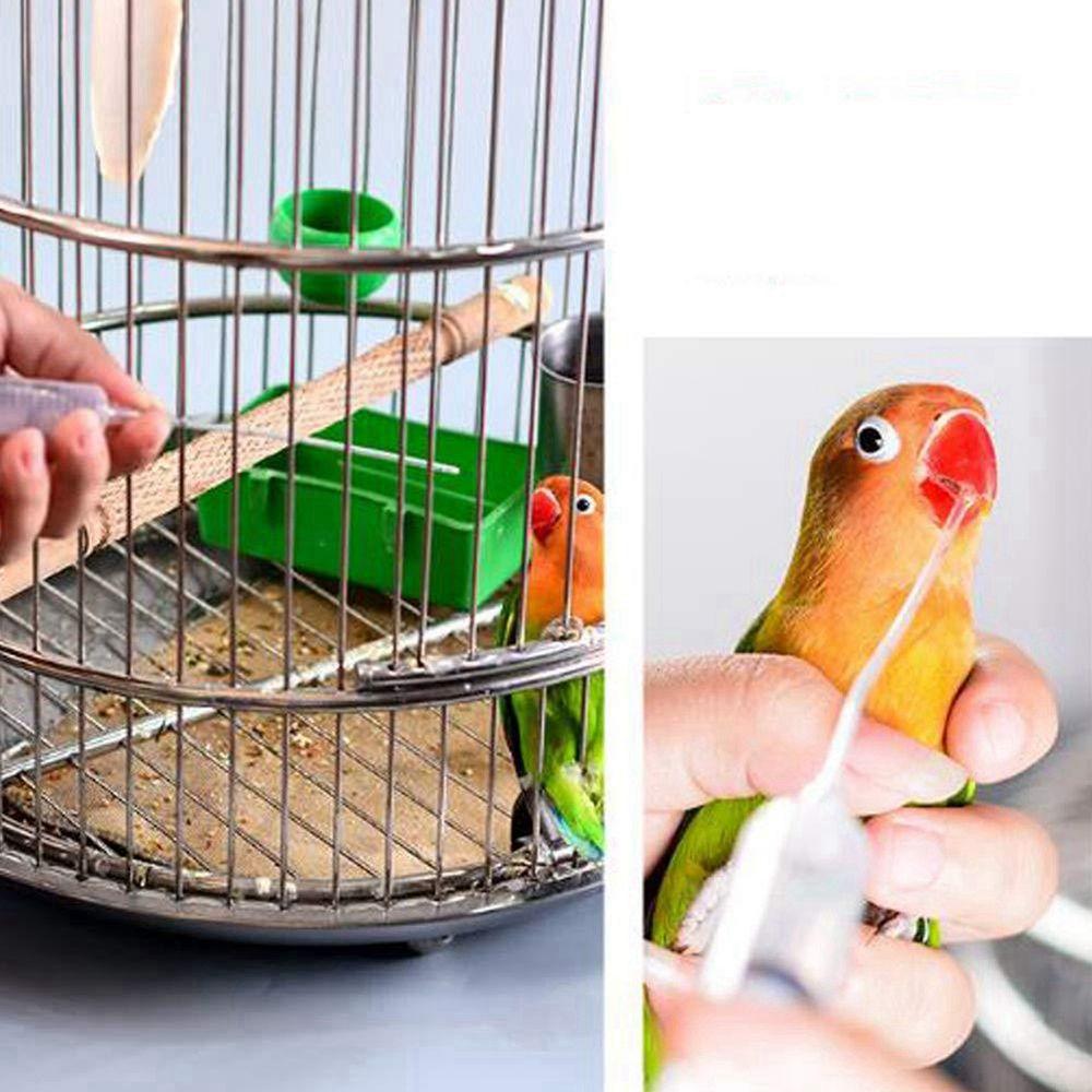Feeding Medicine Needle Tube Baby Bird Feeder Parrot Feeding Syringe Bird Supplies Breast Feeding