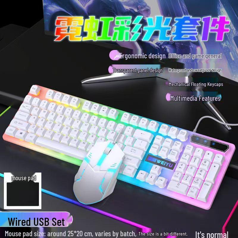 Luminous Wired Keyboard & Mouse Set for Gaming - Mechanical Feel