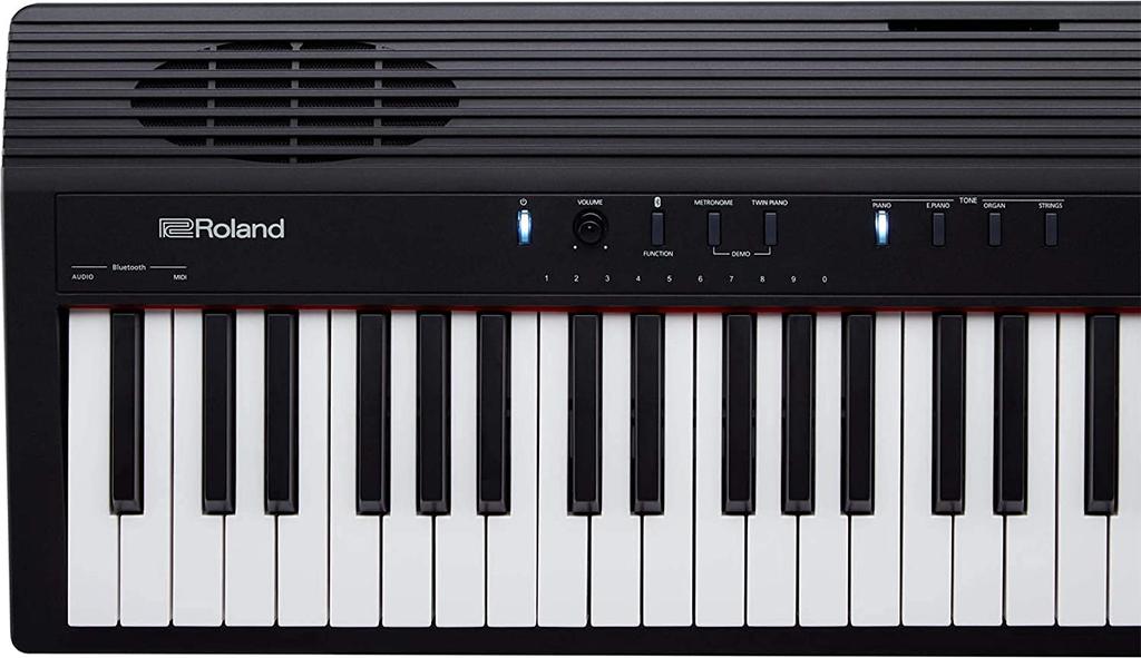 Roland Digital Piano GO Series 88 Keyboard Pedal GO-88P (Sustain Set)