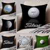 Golf Sports T-TitleistS Pillow Case Anti-dustmite Invisible zipper Sofa Bed