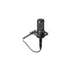 Audio-Technica AT2035 Condenser Microphone Cardioid Pattern Low Cut Switch Pad Switch Shock Mount Included Black