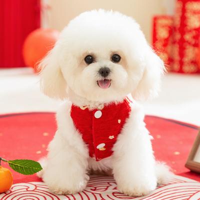 Haustierkleidung Neujahr warm und Samt vierbeinig Tang-Anzug Katze kleiner Hund Teddy Yorkshire Neujahr Hundekleidung