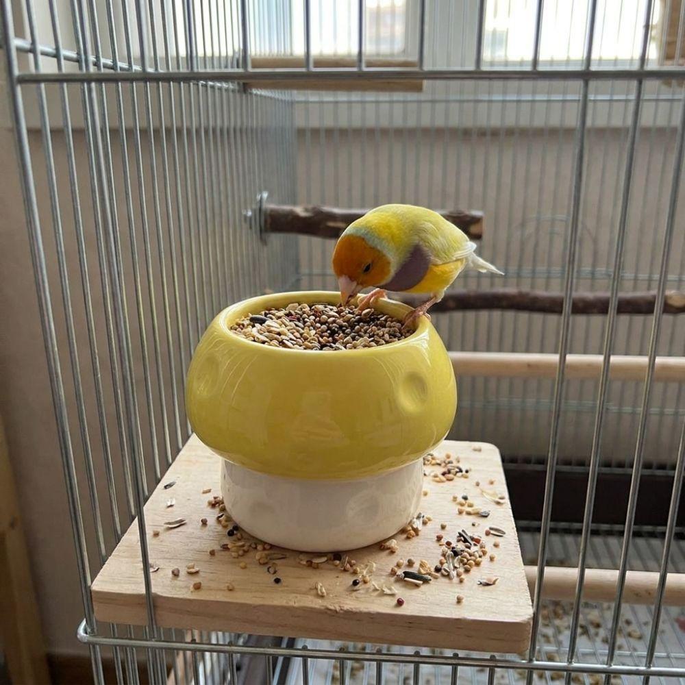 Ceramic Parrot Food Bowl Large Capacity Feeding Station Bird Water Bowl  Balcony Use