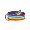 New Korean Version of Women's Double Ring D-buckle Colorful Webbing Casual Versatile Women's Super Long Summer Decorative Belt