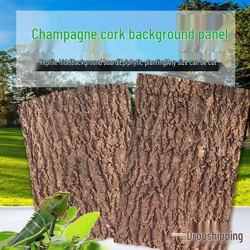 Natural Champagne Cork Bark Decoration Panel for Reptile Hiding & Aquascaping