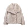 Stylish European & American Faux Fur Coat with Large Lapel, Short Length, Fluffy Plush Material for Women's Fashion.