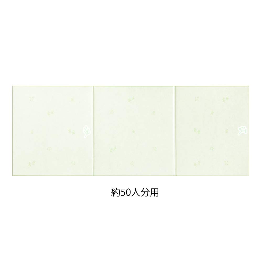 Midori Colored Paper with Floral 33256006 Tri-fold Ribbon, Pattern,