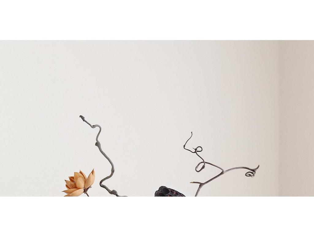 Zen Chinese Retro Teahouse Décor: Dried Branches & Flowers for Living Room Entranceway