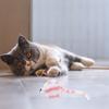 4Pcs Simulated Mouse Shape Cat Interactive Fun Catch Play Mice for Cats Indoor Use Pet Supplies Cat Toys Pet Toys Mouse