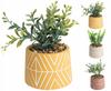 Artificial Plant In a Decorative Cement Pot 95x16 Cm