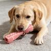 Interactive Stick Pet Chew Toy For Dog Rubber Chewproof Design Support Teeth Hygiene Mental Stimulation Teeth Cleaning