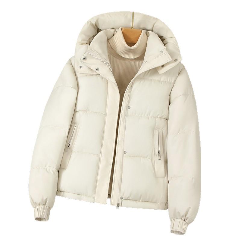 Women's 2026 Trendy Stand Collar Hooded Down Jacket - Short, Thickened, Warm, Petite Outerwear