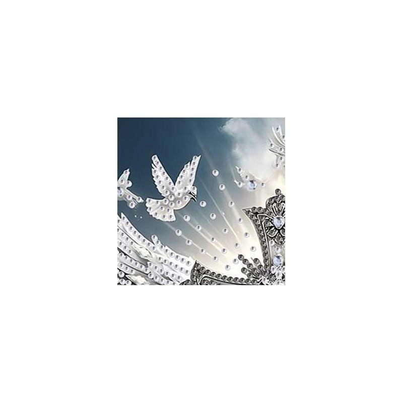 Winged Special Shaped DIY Partial Drill Diamond Art Kit for Adults Beginners Home Decor Diamonds Paintings Gem Art 30x30cm