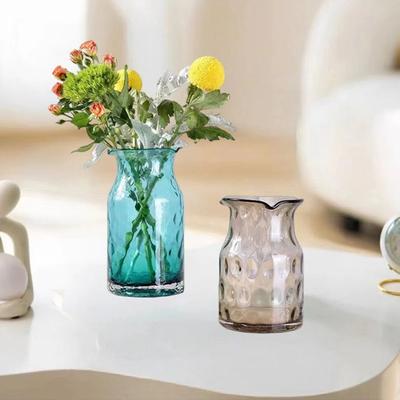Nordic Colorful Transparent Glass Vase Hydroponic Green Ivy Plants Vase Ome Decoration Accessories Flower Vases for Homes