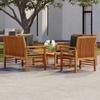 Para jardim e praia – Kits de jardim