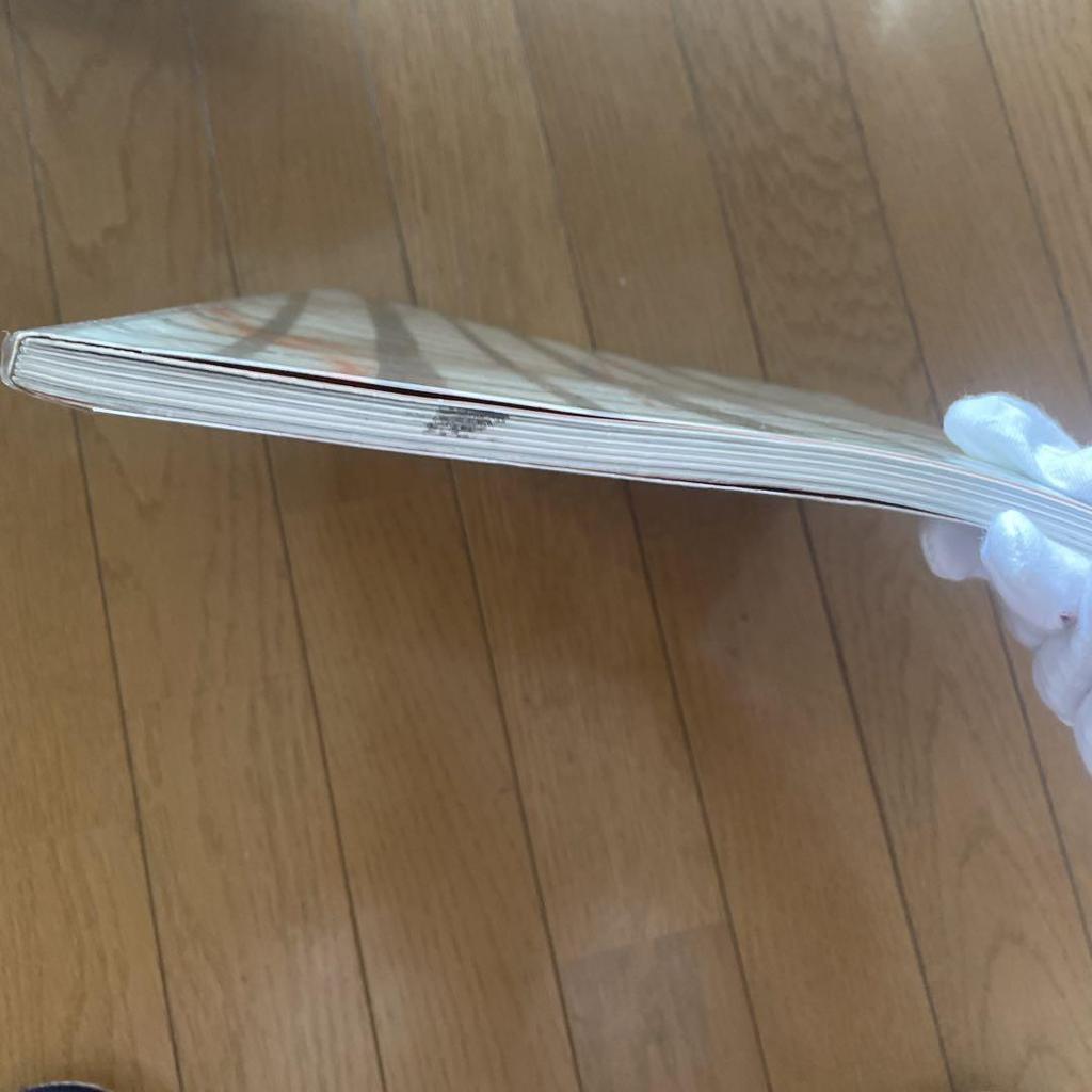 [USED] Foreign Books, Magazines, Parallelwelten, Overseas, Design, Photo Books