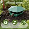 Snail and Slug Trap Insect Catcher Garden Everything Animal Repellent Gardening Products Orchard Sale Wild Repeller Vegetable