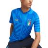 Puma Logo Print Training Short Sleeve T-Shirt 2022-23 Season Italy National Team Men Tops Blue 767050-17