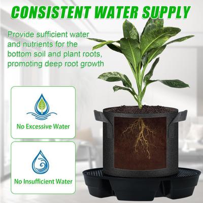 Vasi e fioriere da giardino – Contenitori per piantine