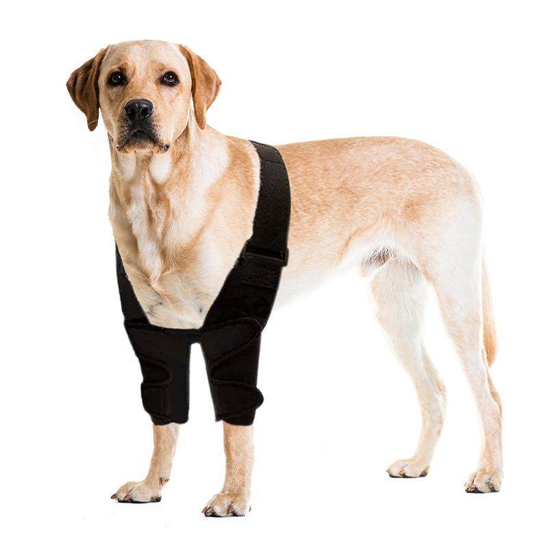 Dog Leg Protection Knee Protection Patella Protection Auxiliary Rehabilitation Dog Cat Ligament Joint Protection